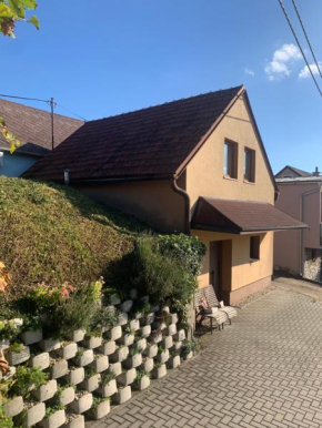 V srdci Moravy, Velké Bílovice
